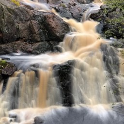 Heldet følger (tur)tossen 1.del