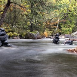 Heldet følger (tur)tossen- 2.del