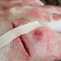 Selvpineri.. -eller?