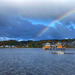 Sverige smut- og guldske i rø…