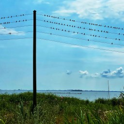 Meget Mere Hygge på Møn