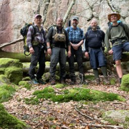 Det Grå Guld- vabler, skovflåt og venskab