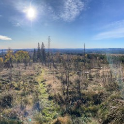 Silverleden- i efterårets farver