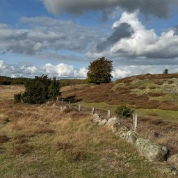 Sydsvenske guldklumper!  Vandretur i Österlen